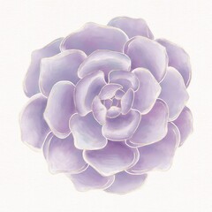Watercolor illustrations of purple succulents, top view on a textured watercolor background with a golden outline