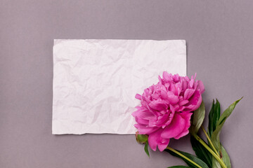 Minimal Styled Flat lay with Pink Peony flowers and white blank Mock up top view Horizontal