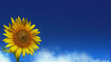 向日葵と星空　夏の空　グルグル