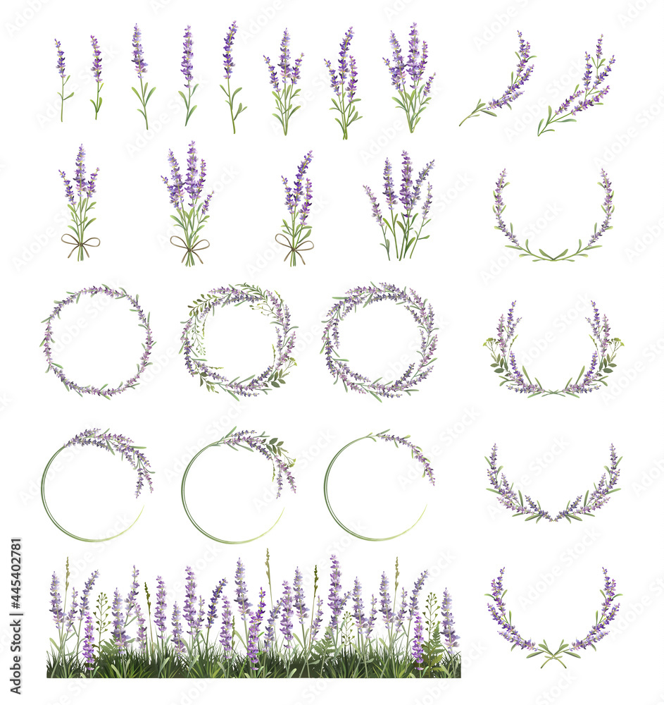 Wall mural large set of lavender sprigs, wreaths and frames. lavender field. - Wall murals