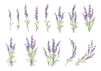 Deurstickers Sprigs of lavender set. Vector colorful illustration © VETOCHKA