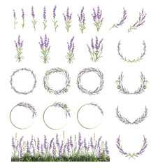 Large set of lavender sprigs, wreaths and frames. Lavender field. - obrazy, fototapety, plakaty