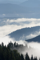Landscape of mountains in the fog, the evergreen trees in the early morning background in the clouds. Dark tone and vintage image