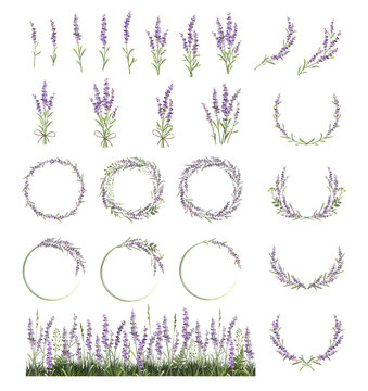 Lavender Watercolor Images – Browse 53,299 Stock Photos, Vectors, and ...