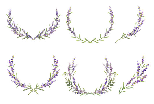 Set of lavender colorful wreaths. Vector illustration