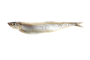 Shishamo fish isolated on white background