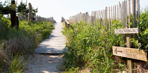 Wood walkway layed down on top of sand dunes leading to the beaches of Fire Island New York