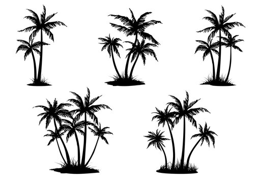 Set of black palm trees groups silhouettes. Vector illustration.