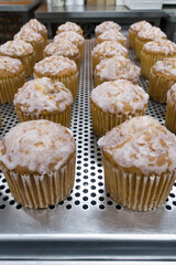 Madera Cupcakes are cooled on a wire rack to cool.