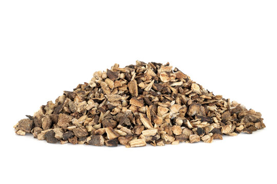 Burdock root herb used in herbal medicine to treat psoriasis, acne, anorexia nervosa, rheumatism, gout,  fever and colds. On white background. Arctium.