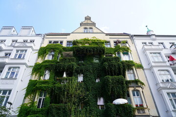 Grün bewachsenes Haus bei Sonnenschein in Berlin 