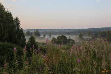 July morning. Dawn Fog