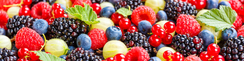 Berries fruits berry fruit strawberries strawberry blueberries blueberry panorama