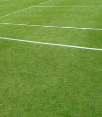 Obraz premium View of grass tennis court and painted white line markings