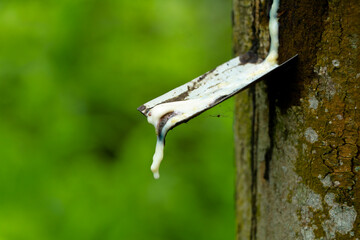 Dried rubber stain or latex on the blade