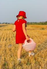 A little girl in a red cap walks through a mown wheat field, carefully looking at her feet
