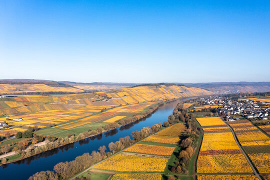 Germany, Rhineland-Palatinate, Helicopter view of Moselle river and surrounding vineyards in autumn
