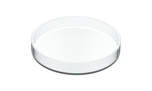 Empty Petri dish isolated on white background. 3d illustration.