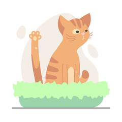 Cute dissatisfied licking ginger, red kitten, cat  sitting in the green bed for cats isolated on white. Vector illustration for postcard, banner, decor, design, arts, web, calendar, advirtising.