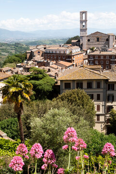 Italy,�Province of Arezzo, Arezzo, Outskirts of medieval town in spring with high bell tower in background