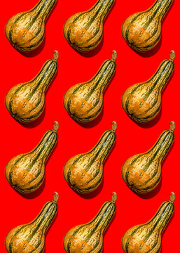 Pattern of pumpkins flat laid against red background
