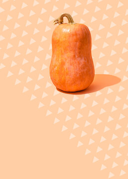 Studio shot of single raw pumpkin standing against pattern of rows of triangles