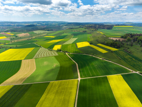 Aerial view of patchwork fields in summer