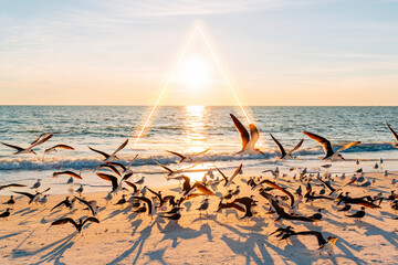 Sun setting over flock of seagulls at Lovers Key State Park beach with glowing triangle in background