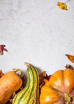Autumnal background with pumpkins, fallen leaves and copy space