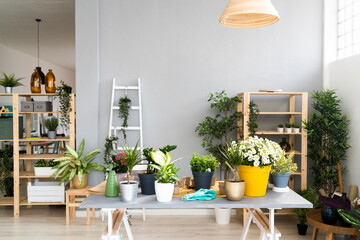 Potted plants on table at shop