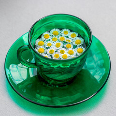 Daisy in a green cup with a saucer. Summer, warm. Beautiful picture