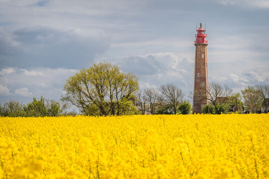 Flugge Lighthouse with oilseed rape field in foreground