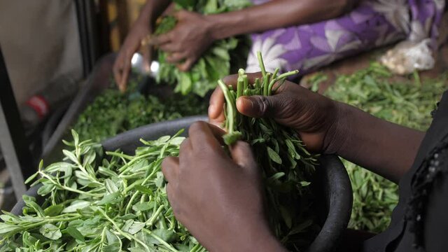 24th may 2021, Lagos Nigeria:  shot of green vegetable 