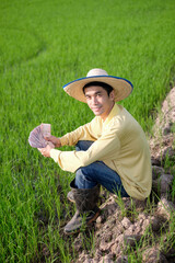Naklejka na ściany i meble A male Asian farmer sitting in a rice field with Thai banknotes smiling.