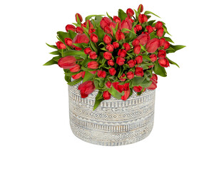 Red tulips in a vintage patterned wooden vase on white background with clipping path