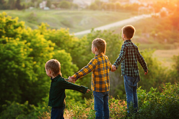 Group of happy children playing on meadow, sunset, summertime. Three brothers holding hands on hill enjoy outdoor backyard vacation. Back view.