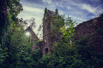 The creepy derelict shell of St. Mary's Church in Tintern, Wales