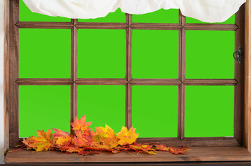 old wooden window with falling autumn leaves on green screen background