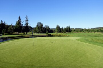 A beautiful golf green surrounded by forest in perfect shape, on Vancouver Island, British Columbia, Canada