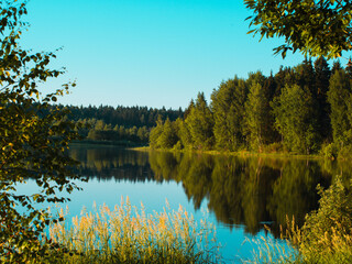 beautiful summer landscape of sunny forest lake