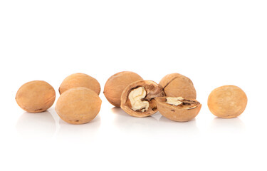 Walnut isolated on a white background.