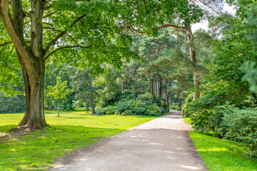 Fototapeta na wymiar Hamburg, Germany. The City Park (German: Stadtpark). It is 148 hectares (366 acres) large and located in the Hamburg district of Winterhude.
