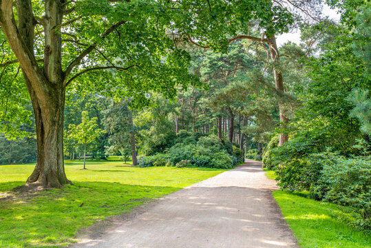 Hamburg, Germany. The City Park (German: Stadtpark). It is 148 hectares (366 acres) large and located in the Hamburg district of Winterhude.