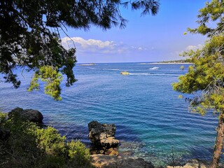 view of the mediterranean sea through the trees