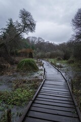 Marais du Brezou France