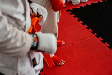 Luvas de karate © Leonardo