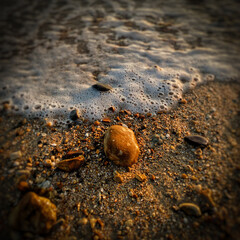 ocean tide