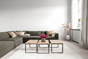 Modern living room with sofa and coffee tables