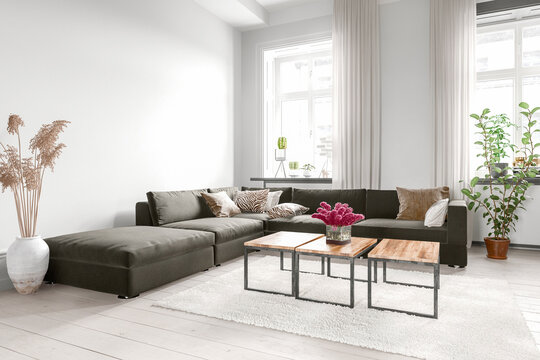 Empty living room interior with sofa