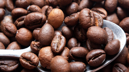 coffee beans on white background